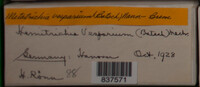 Image Associated With the Occurence